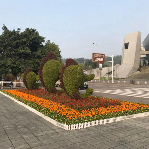 四川成都五色草雕塑厂家大量批发制作 荷花五色草雕塑造型批发厂