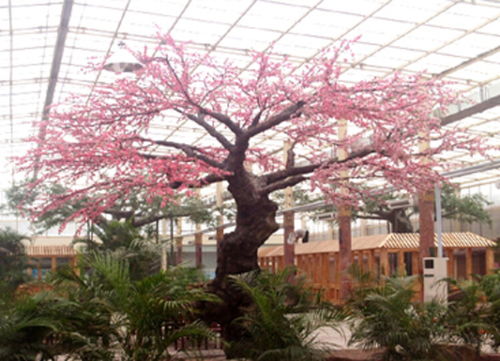 蚌埠假树,水泥假树安装定做