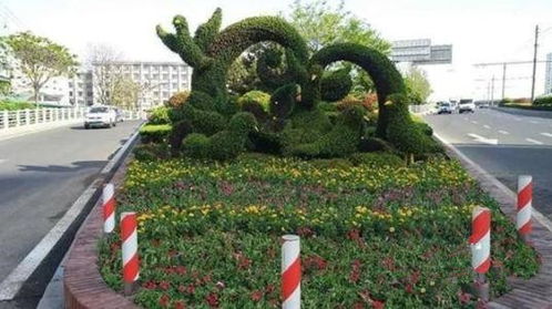 立体五色草景观绿雕造型专业定制厂家 成都五色草绿雕批发厂家