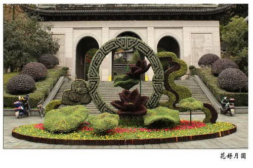 四川大型雕塑厂 大型凤凰五色草造型厂家专业定制保质保量