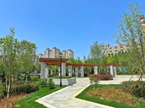 旅顺这个产业园区景观工程完工,来看看咋样