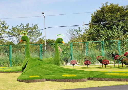 长颈鹿仿真绿雕造型现货批发价 成都仿真绿雕专业定制厂家