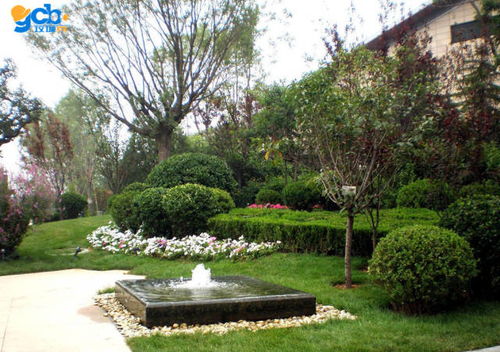 园林机械租赁 园林景观工程水景施工难点分析