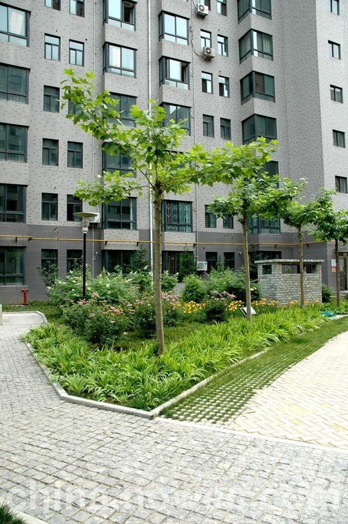 陕西峻锦园林景观工程