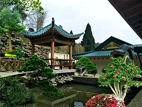 禅意-园林景观工程