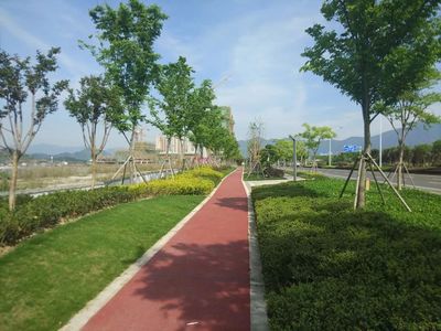 【喜报】热烈祝贺公司五个项目荣获2018年度杭州市“优秀园林绿化工程”金奖荣誉