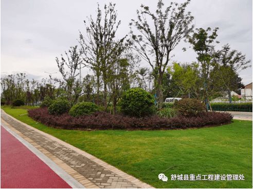 春秋南路东侧景观工程即将完工