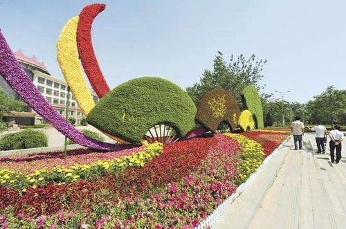 五色草鲜花真植物雕塑厂家定制价格 四川成都五色草雕塑厂家批发定制