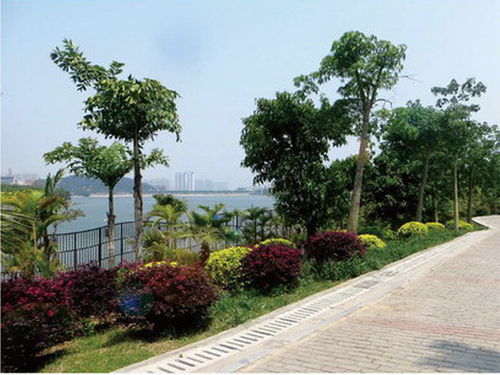 厦门湖边水库片区景观工程