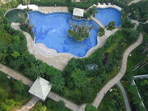 广东嘉澳园林工程动态