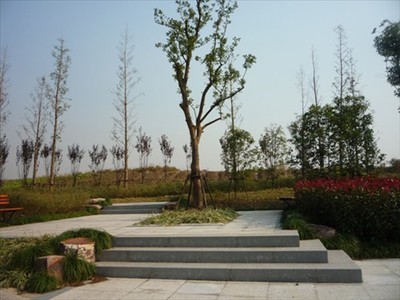 上塘河综合保护与开发工程(绕城公路-天都城)景观绿化工程02标