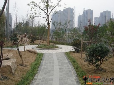 杭州镇东河景观工程