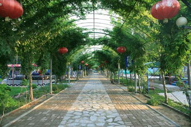 园林景观 山东奥景园林 园林工程价格 园林景观 山东奥景园林 园林工程型号规格