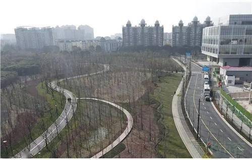 24公顷 浦东文化公园景观提升工程竣工,上海再添森林景观