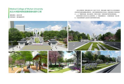 武汉大学医学部校园景观绿化提升工程