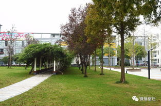 现在起,我大宿迁又要多一个新名字