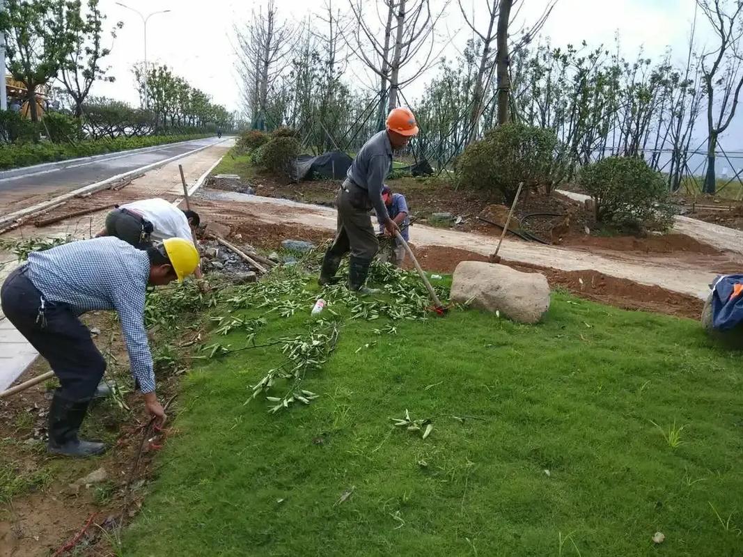 景观绿化工程.景观绿化工程别墅庭院造景,以自然为画布,打造独