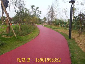 透水混凝土▼海绵自行车 绿道