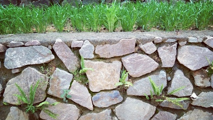 挡土墙华丽变身可食地景观梯田