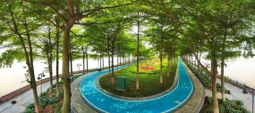 院士领衔,广州以 绣花功夫 打造城市精品工程