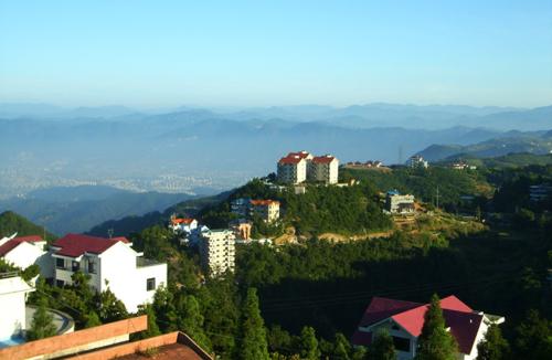 给上海邓氏园林工程的工厂绿化景点案例留言_产品询.