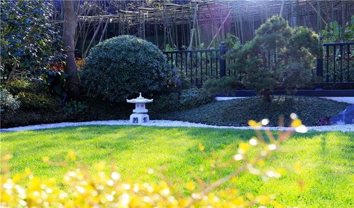 融创莫干溪谷景观工程 赛石精品工程的匠心之作