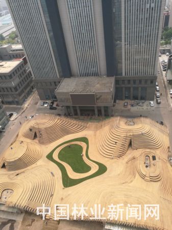 国内最大城市竹制景观工程竣工 自然与城市的完美融合