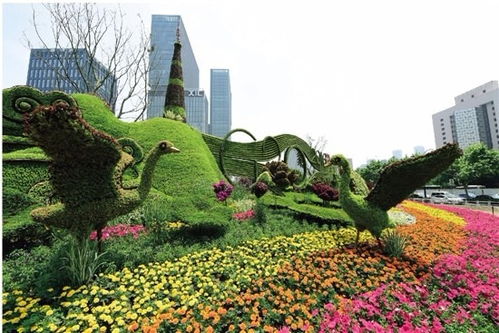 运动与自然的完美融合 专业定制骑自行车健身主题仿真绿雕造型