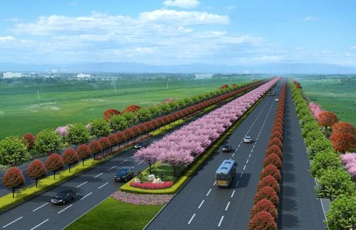 新机场大道景观绿化工程正式开工，打造城市生态走廊