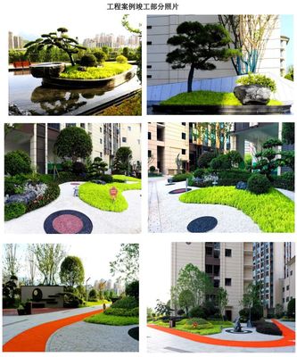 "匠心十六年·品质鉴美好" 张家界楚风园林乔迁启航!