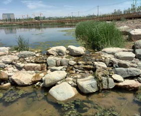 兰州园林景观工程预计年底全面完工，城市颜值再提升